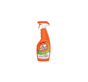 Limpiador antigrasa 500ml